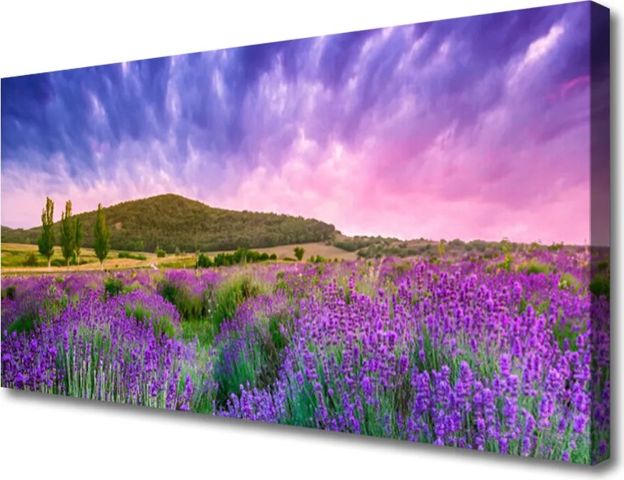 Zdjęcie na płótnie Alpejska Łąka w Kwiatach