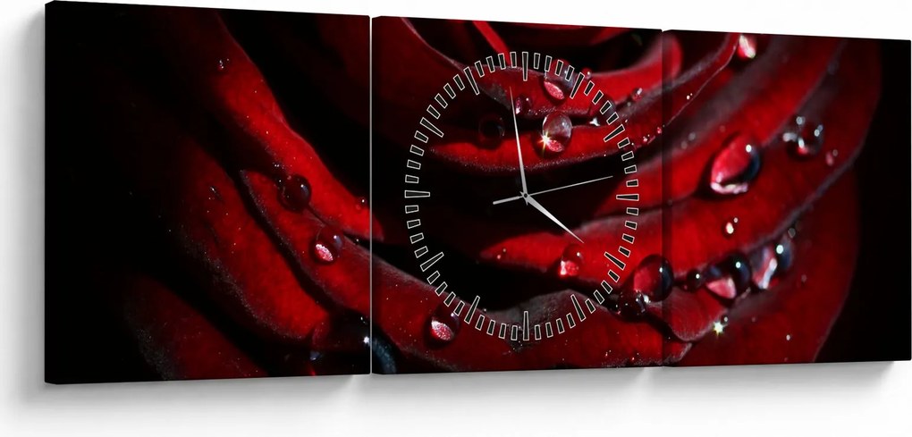 Obraz - Detal róży (z zegarem) (90x30 cm)