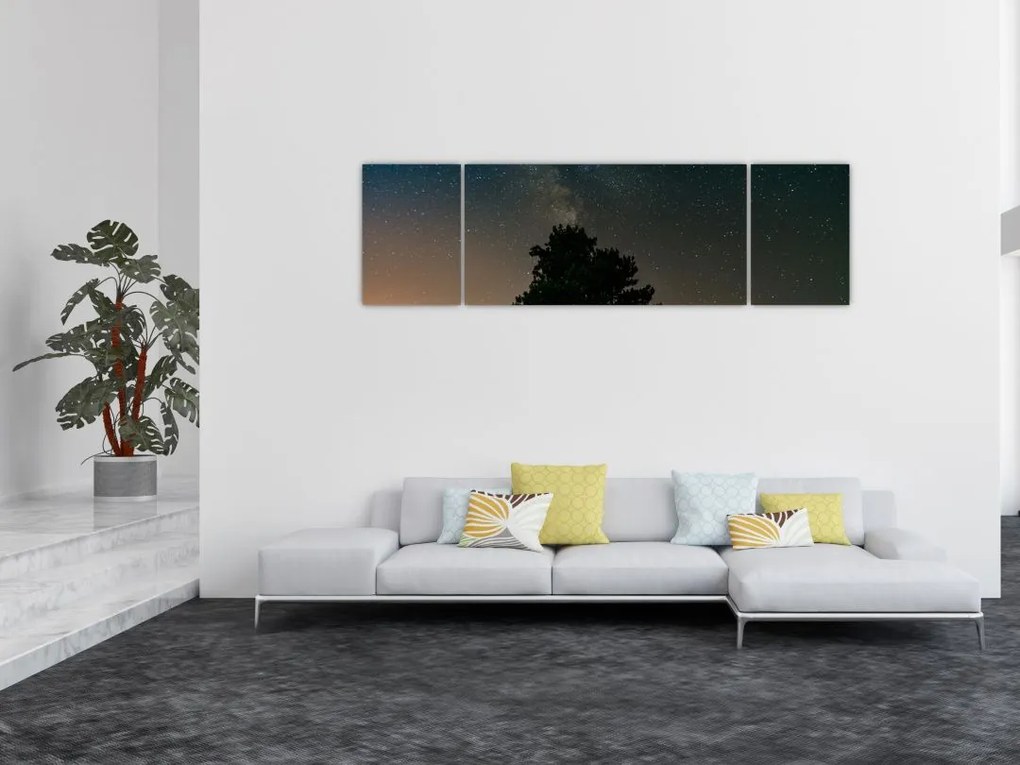 Obraz nocnego nieba z drzewami (170x50 cm)