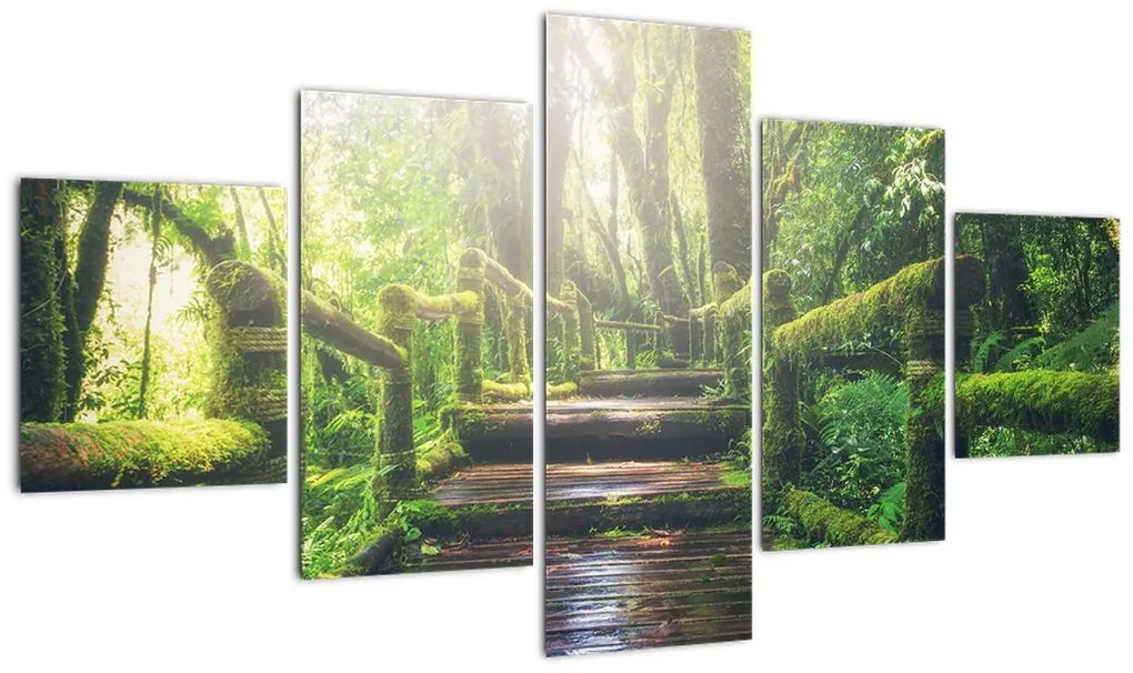 Obraz - drewniane schody w lesie (125x70 cm)