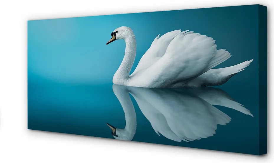Obraz canvas na ścianę Łabędź na Tafli Wody