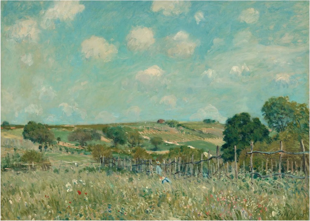 Obraz na szkle - Alfred Sisley, Meadow, reprodukcje (70x50 cm)