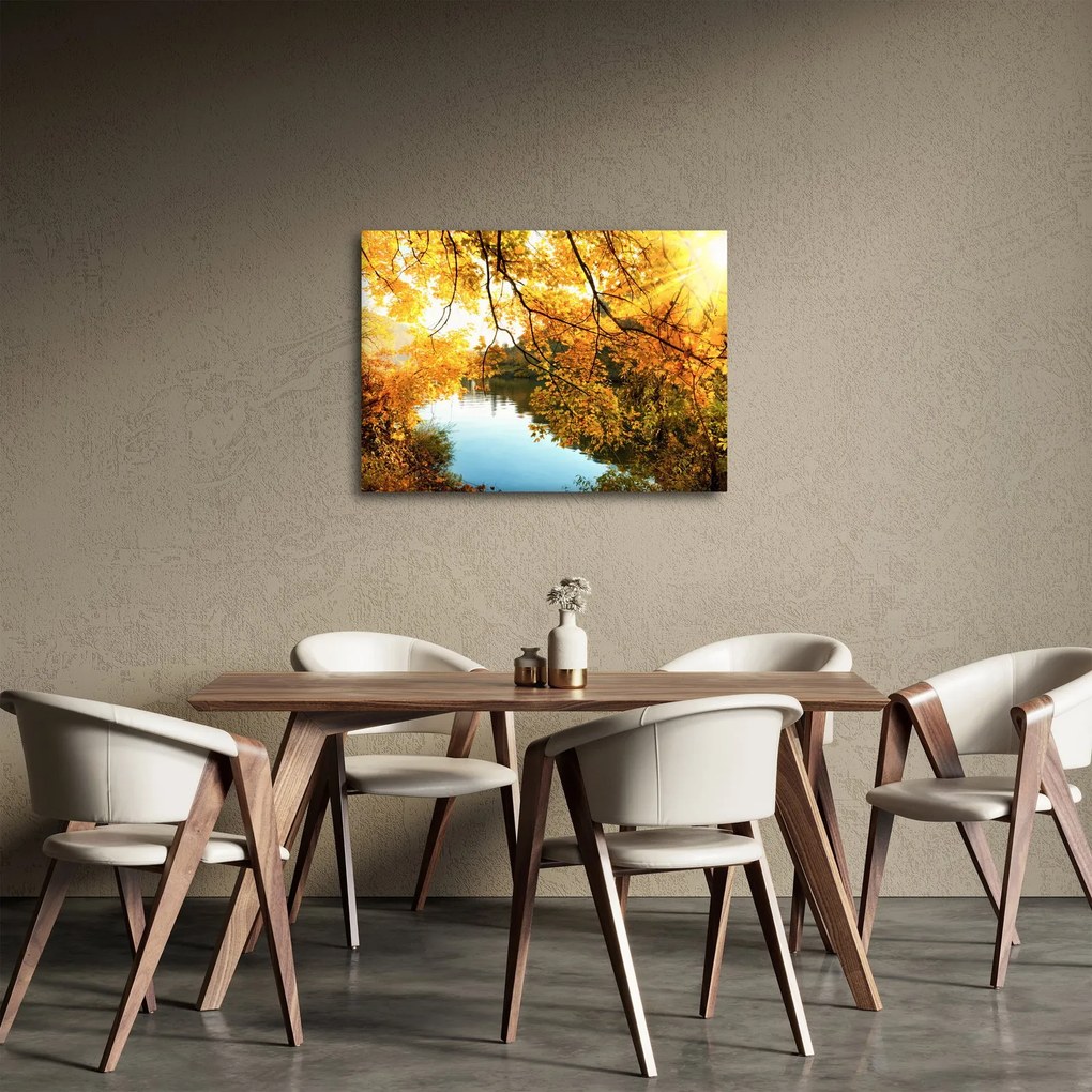 Obraz - Jesienne drzewo (70x50 cm)