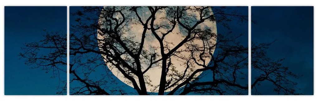 Obraz drzewa z pełnią księżyca (170x50 cm)