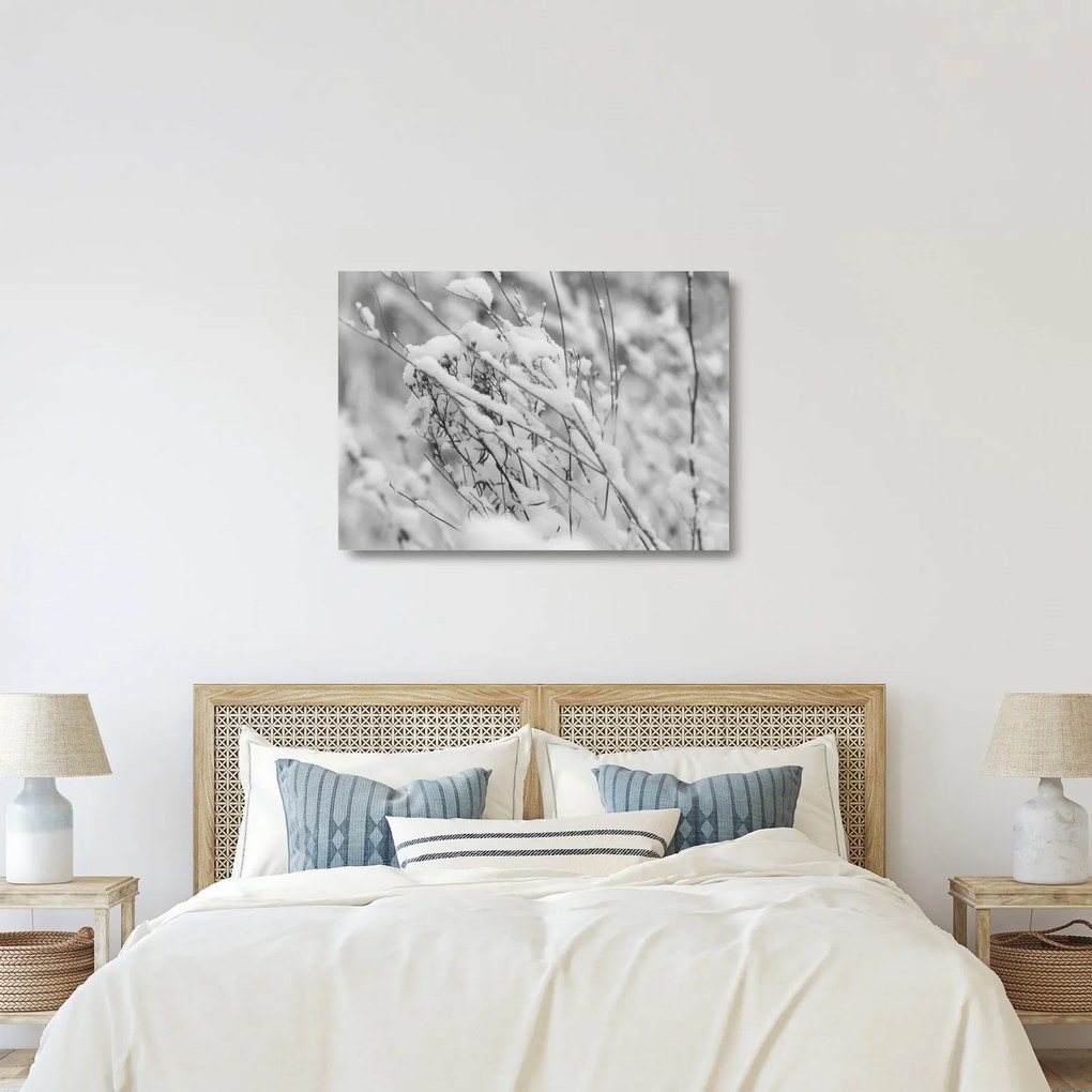 Obraz na szkle - Ośnieżone gałęzie (70x50 cm)