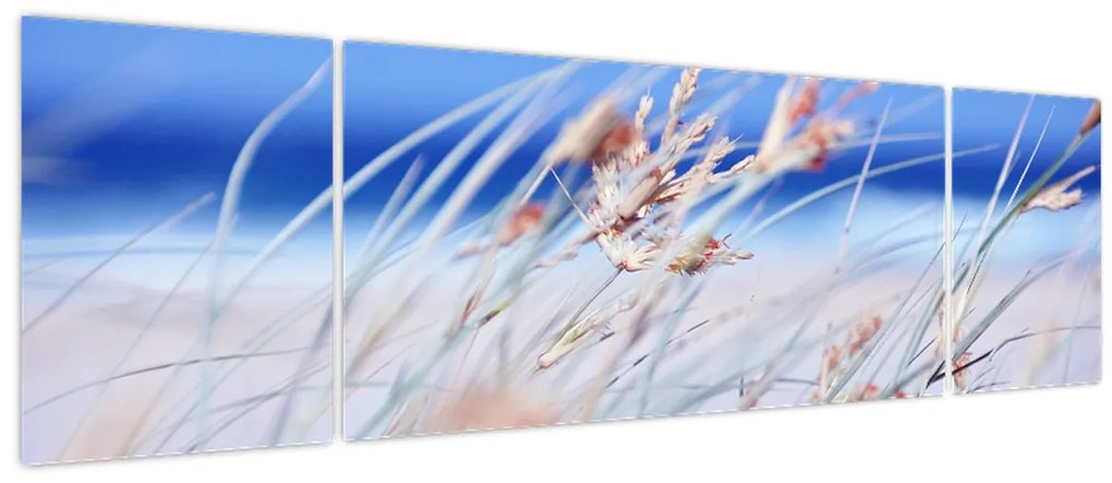 Obraz - Bryza (170x50 cm)