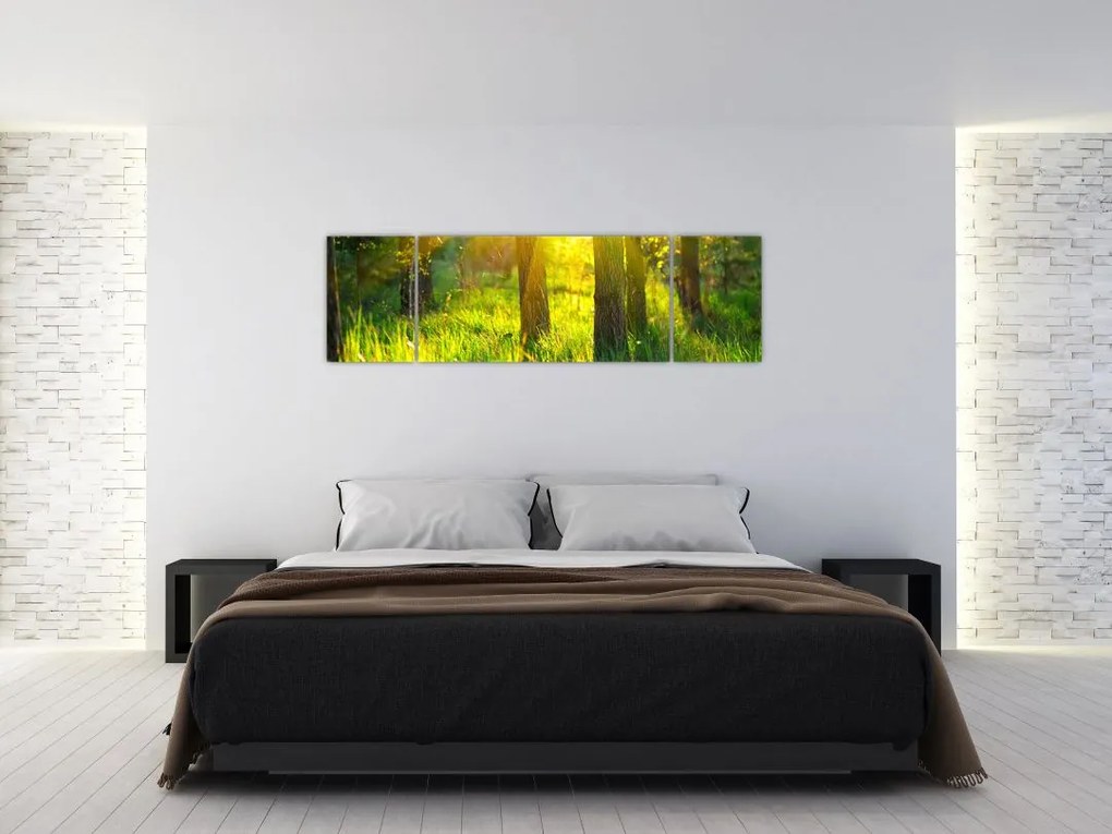Obraz - Wiosenne przebudzenie lasu (170x50 cm)