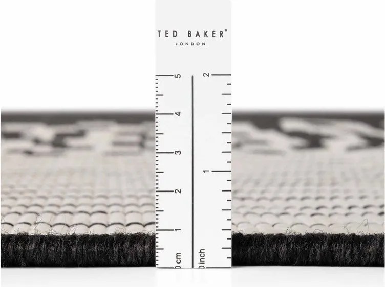 Czarno-kremowy dywan odpowiedni na zewnątrz 200x300 cm Haringey Acacia – Ted Baker