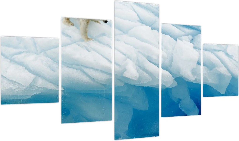 Obraz - Niedźwiedź polarny (125x70 cm)