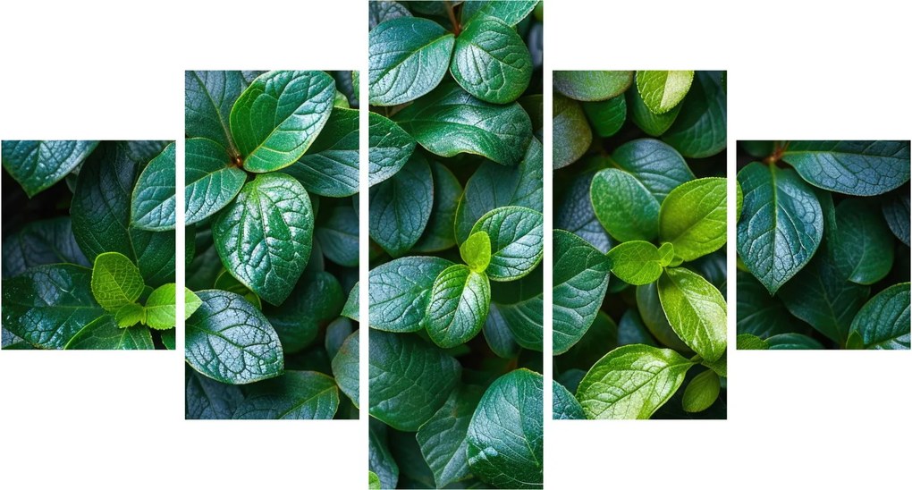 Obraz - Rośliny zielone (125x70 cm)
