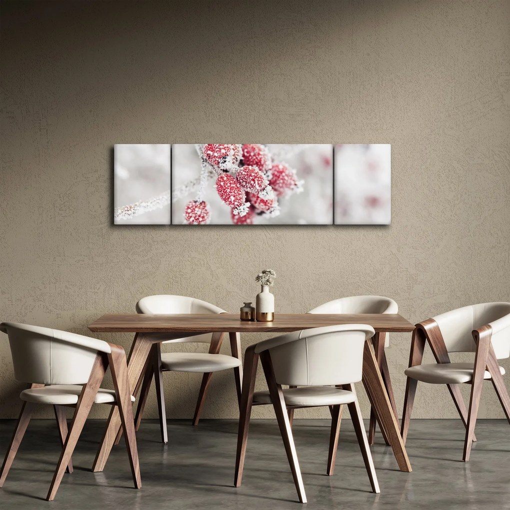 Obraz - Mrożone owoce (170x50 cm)