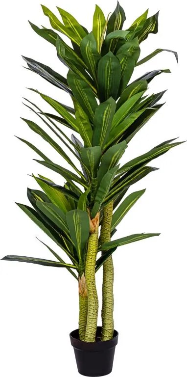 PLANTASIA Dracaena sztuczne drzewo 120 cm, 81 liści