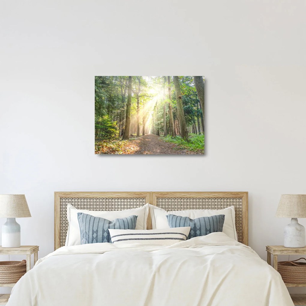 Obraz na szkle ścieżki w lesie (70x50 cm)