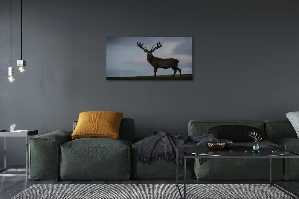 Obraz canvas na ścianę Nocne Spotkanie z Jeleniem