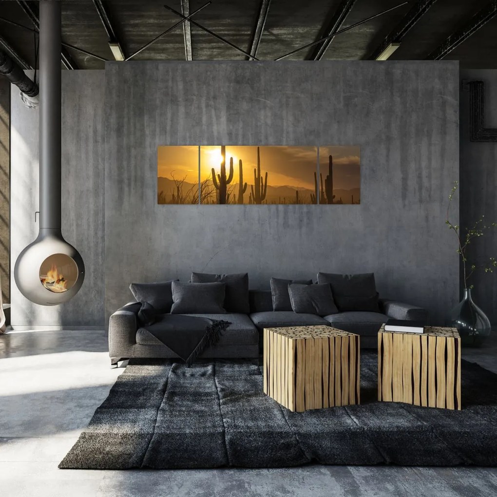 Obraz - Kaktusy Saguaro (170x50 cm)