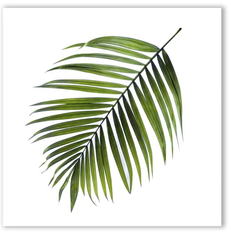 Obraz Styler Canvas Greenery Black Palm, 32x32 cm