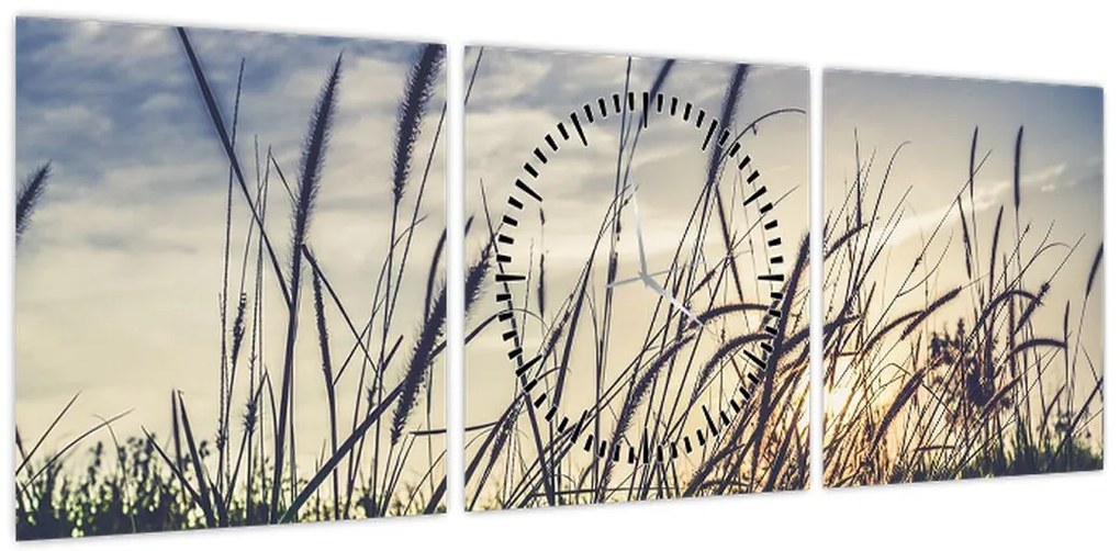 Obraz kwiatów łąkowych (z zegarem) (90x30 cm)