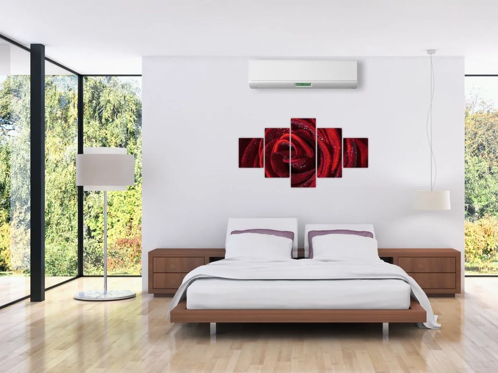Obraz - Czerwona róża z kroplami rosy (125x70 cm)