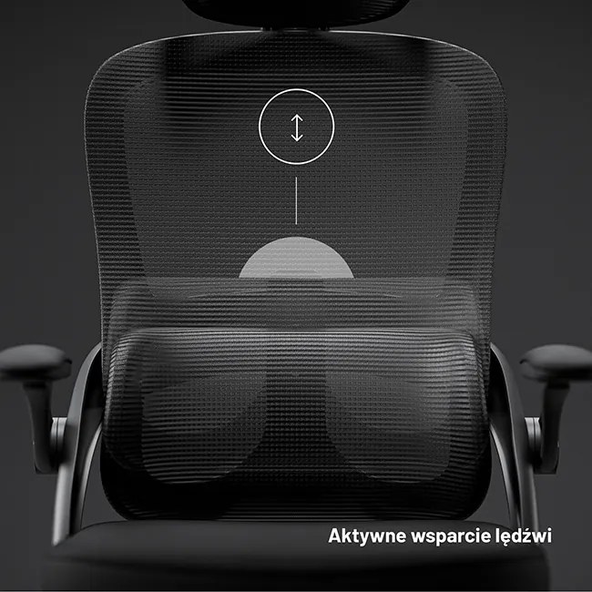 Fotel biurowy, ergonomiczny Diablo V-Light, czarny