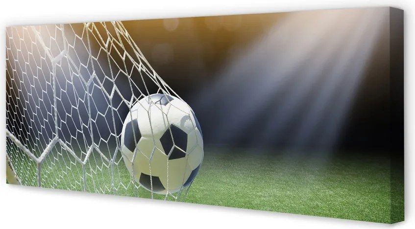 Zdjęcie na płótnie Piłka W Sercu Stadionu