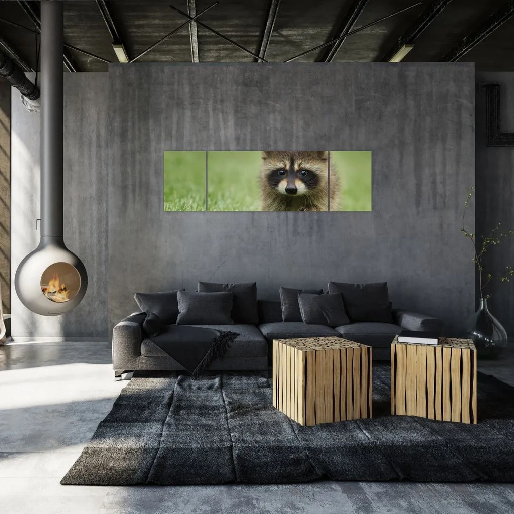 Obraz szopa pracza (170x50 cm)