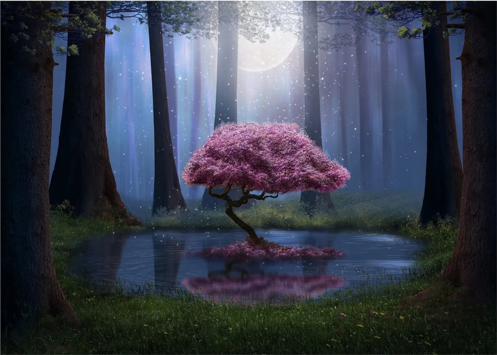 Obraz na szkle - Magiczna noc (70x50 cm)