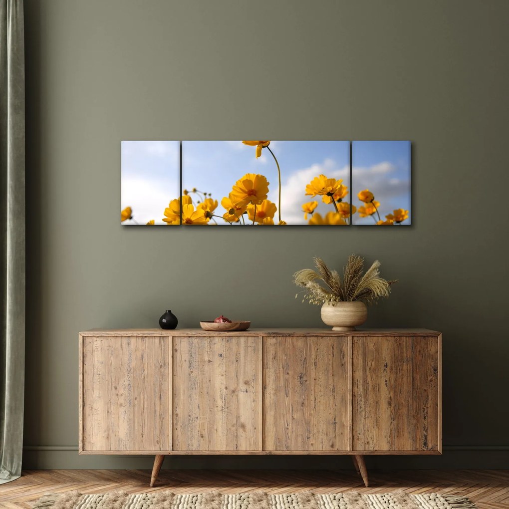 Obraz pola z jasnożółtymi kwiatami (170x50 cm)
