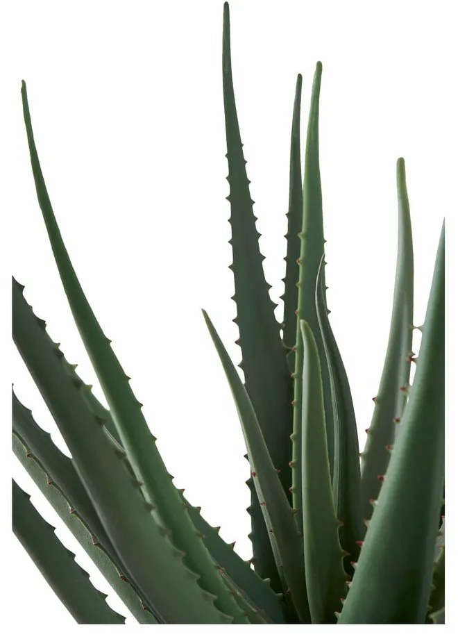 Sztuczna roślina (wysokość 51 cm) Aloe Vera – House Nordic