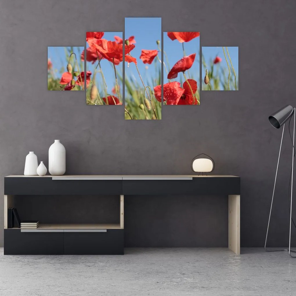 Obraz - Maki (125x70 cm)
