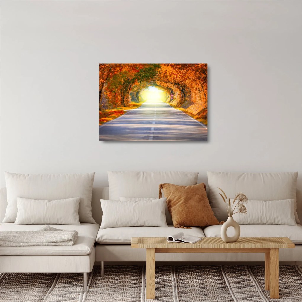 Obraz na szkle - Brama wykonana z koron drzew (70x50 cm)