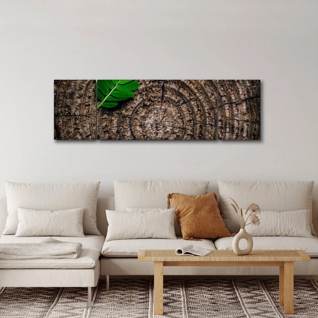 Obraz liścia na pniu drzewa (170x50 cm)