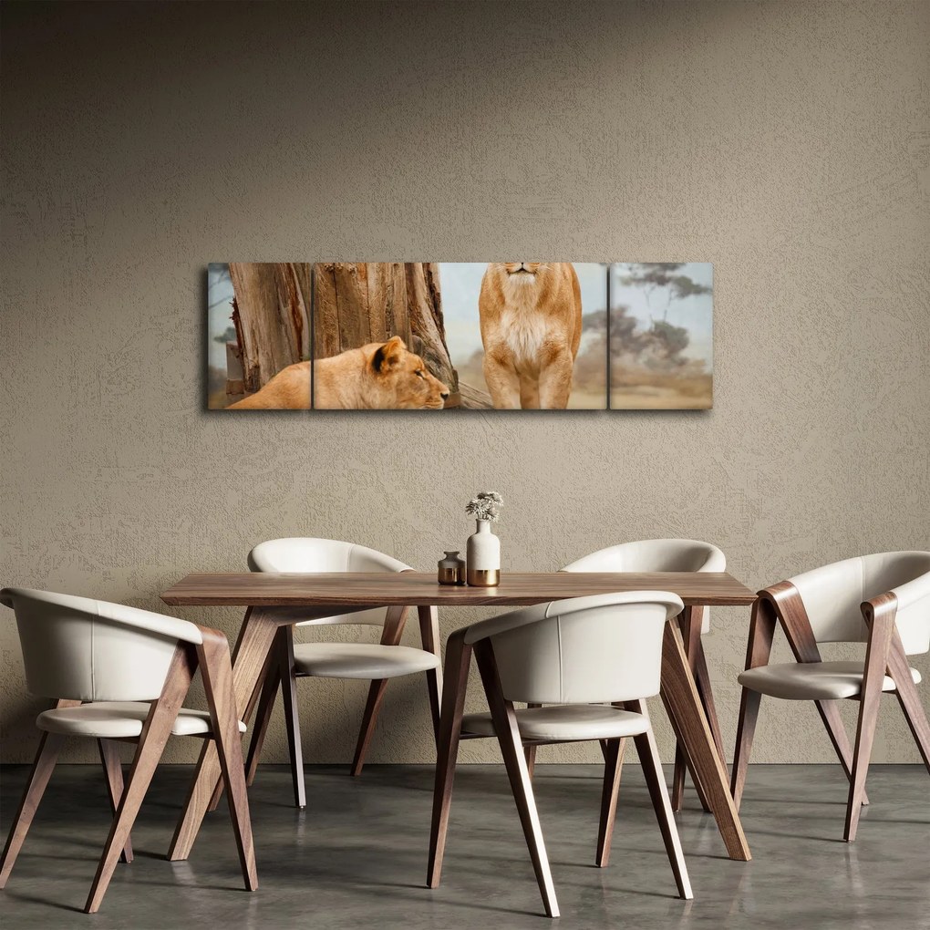 Obraz - dwie lwice (170x50 cm)