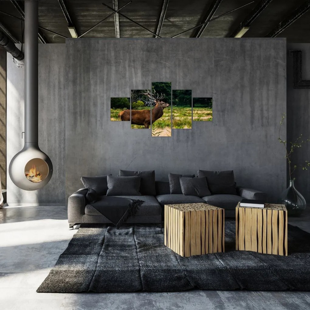Obraz jelenia (125x70 cm)
