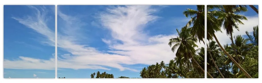 Obraz plaży (170x50 cm)