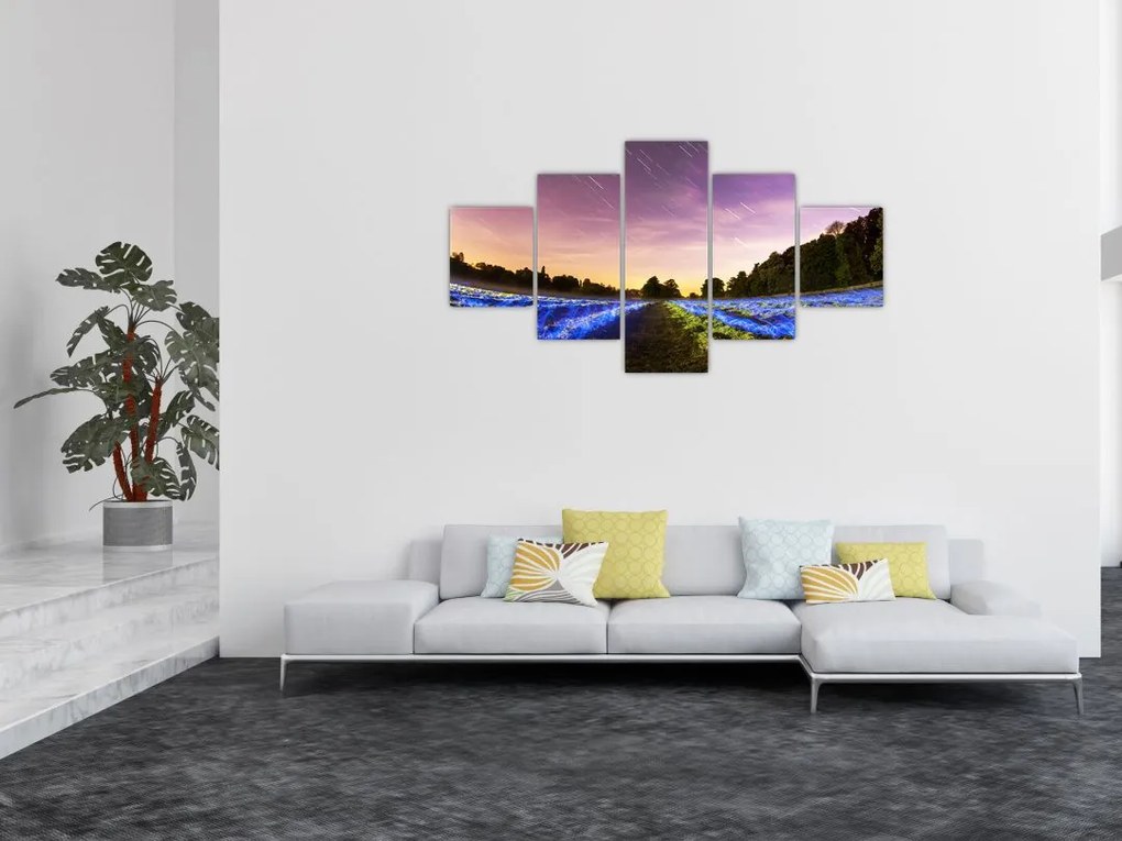 Obraz kolorowego pola (125x70 cm)
