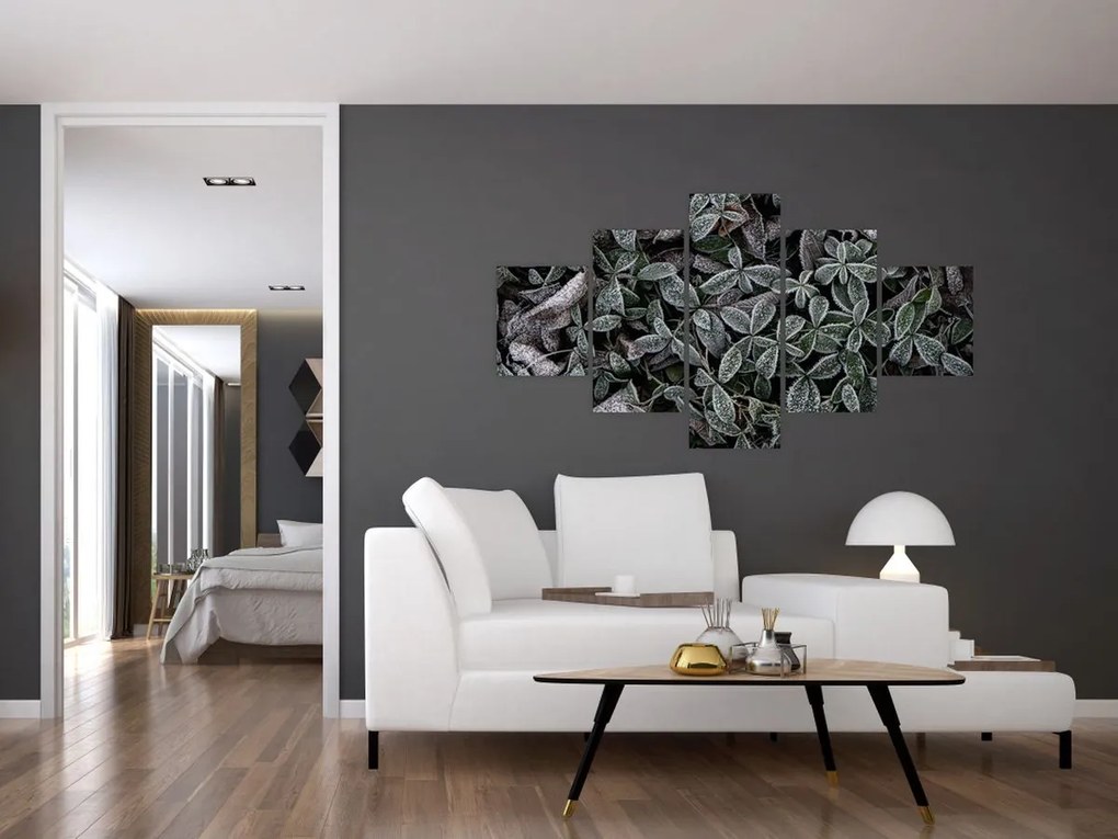 Obraz - Zamrożone rośliny (125x70 cm)