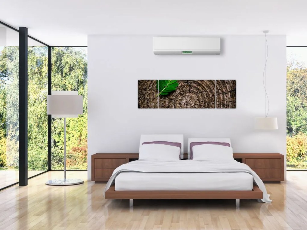 Obraz liścia na pniu drzewa (170x50 cm)