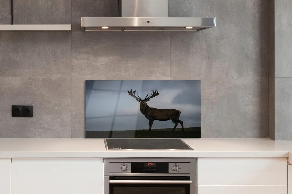 Panel nad Blat Kuchenny Jeleń w Nocnej Scenerii