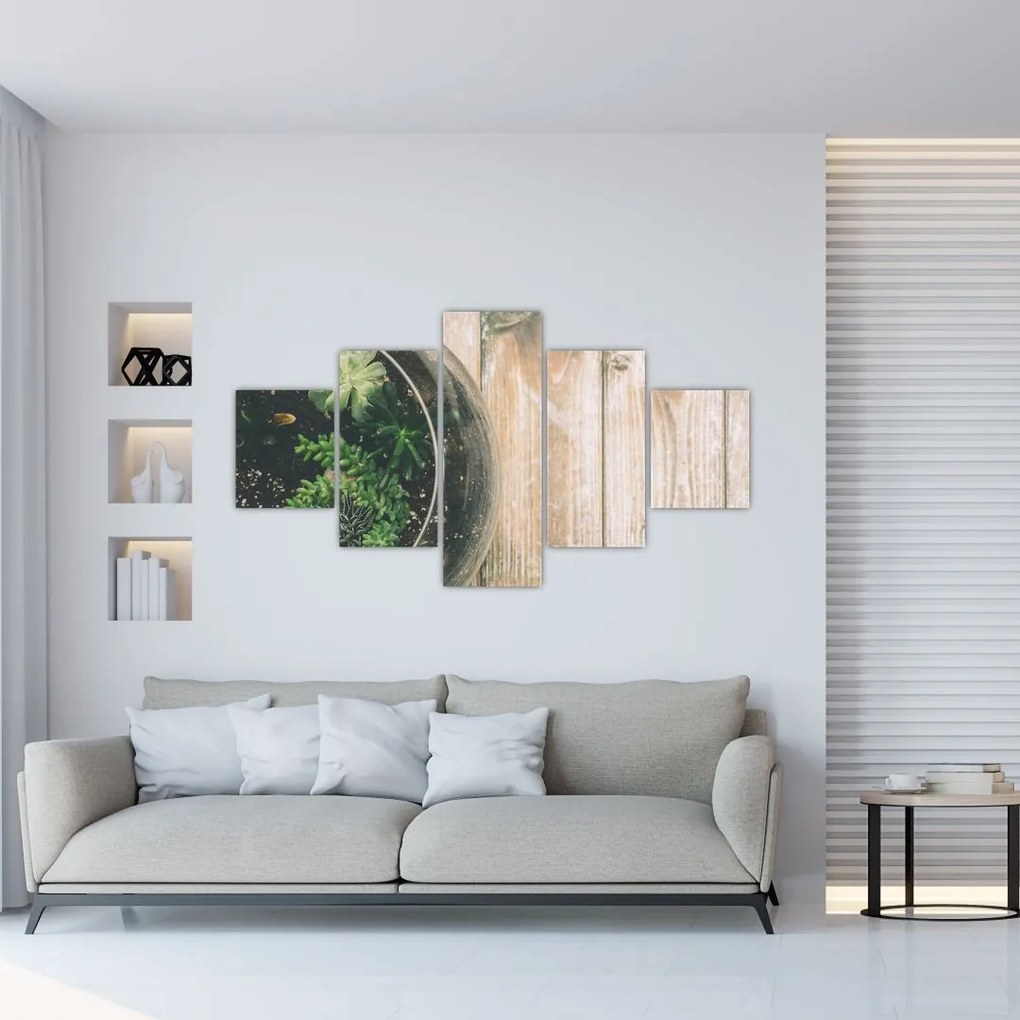 Obraz sukulentów w szkle (125x70 cm)