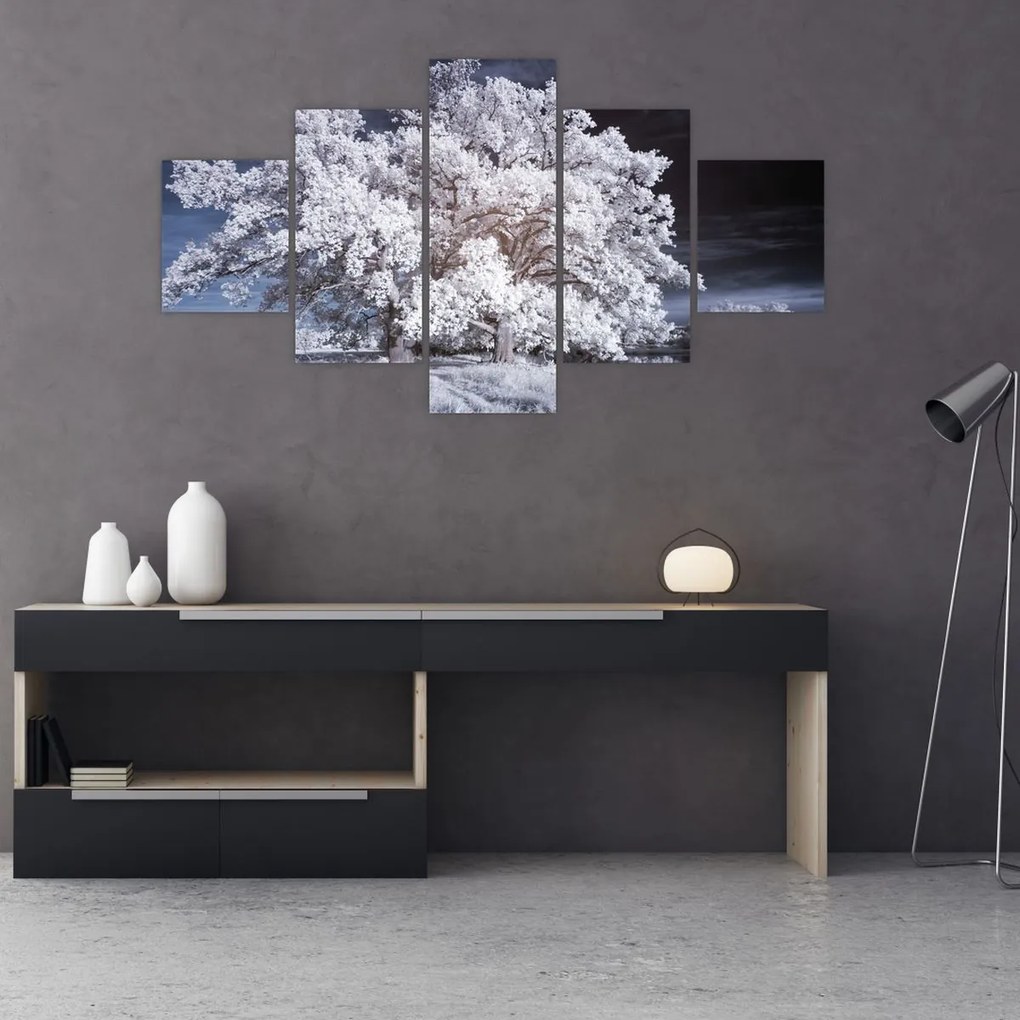 Obraz - Śnieżnobiałe drzewo (125x70 cm)