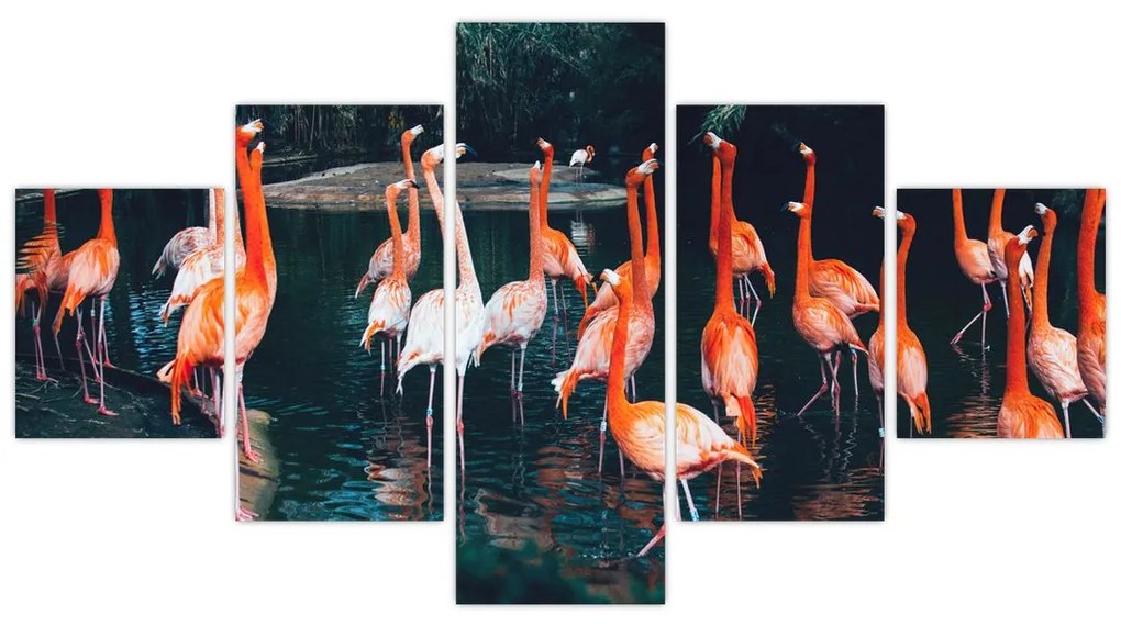 Obraz stada flamingów (125x70 cm)