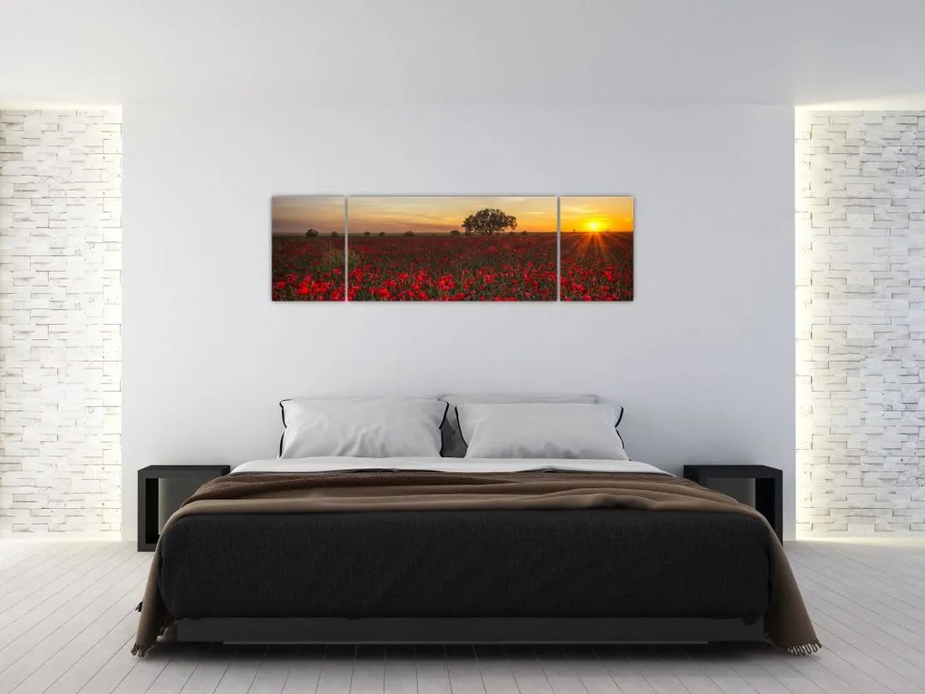 Obraz łąki z makami (170x50 cm)