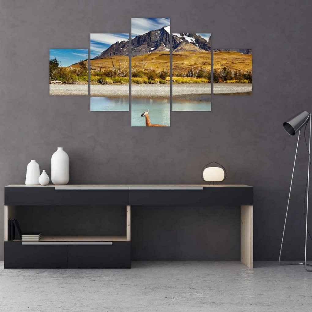 Obraz - Park Narodowy Torres del Paine (125x70 cm)