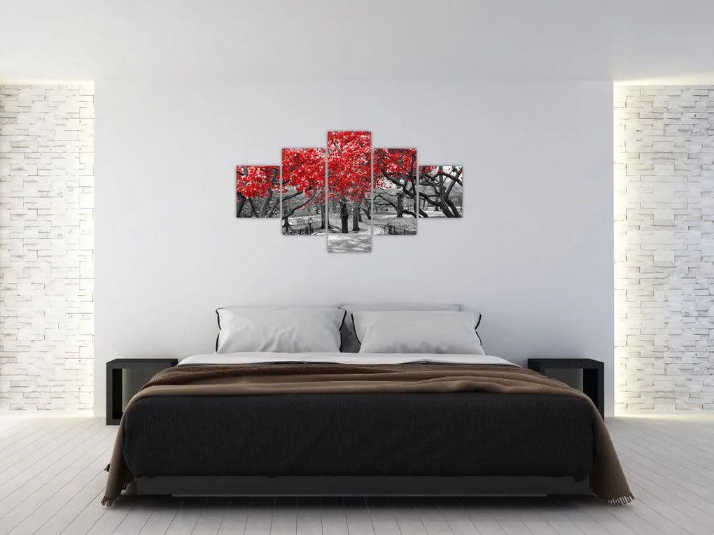 Obraz - Czerwone drzewa, Central Park, New York (125x70 cm)