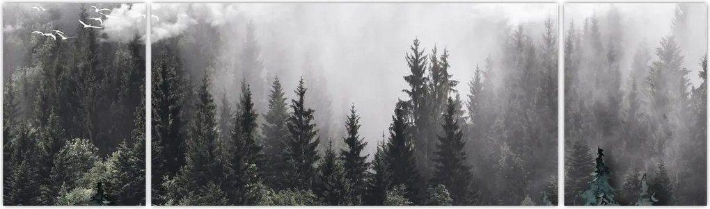 Obraz - Las z ilustrowanymi elementami (170x50 cm)