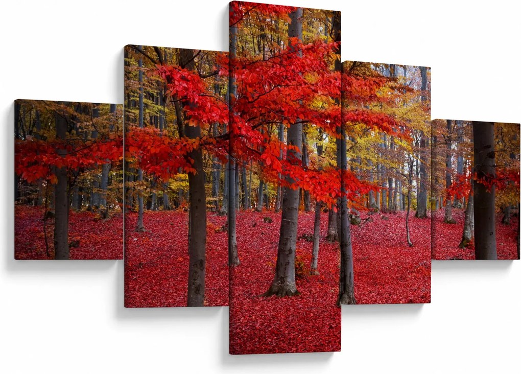 Obraz - Czerwony Las (125x70 cm)
