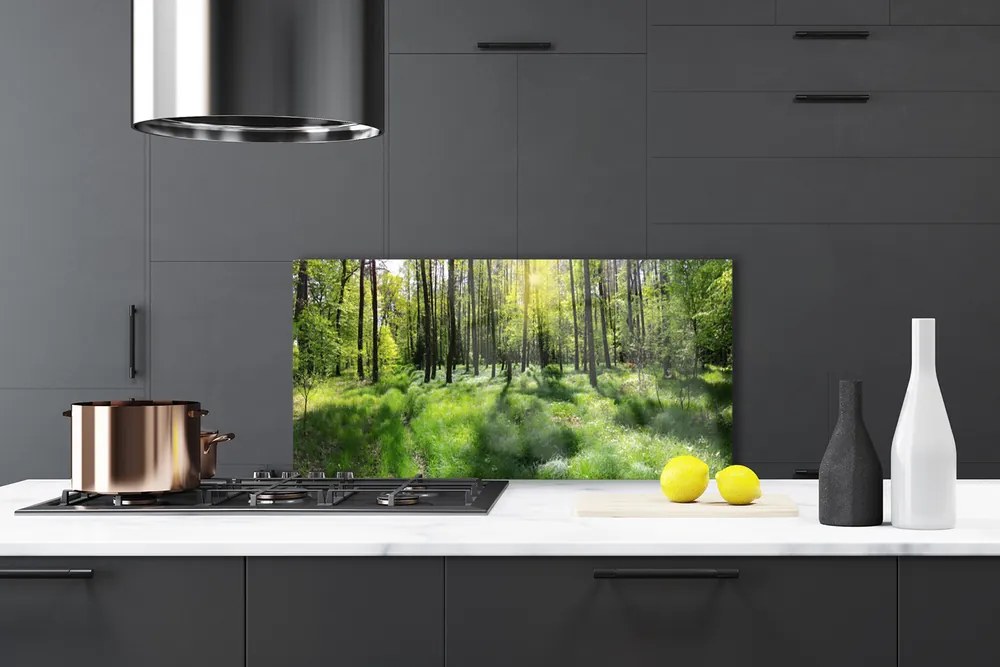 Panel Szklany Leśna Ścieżka wśród Traw