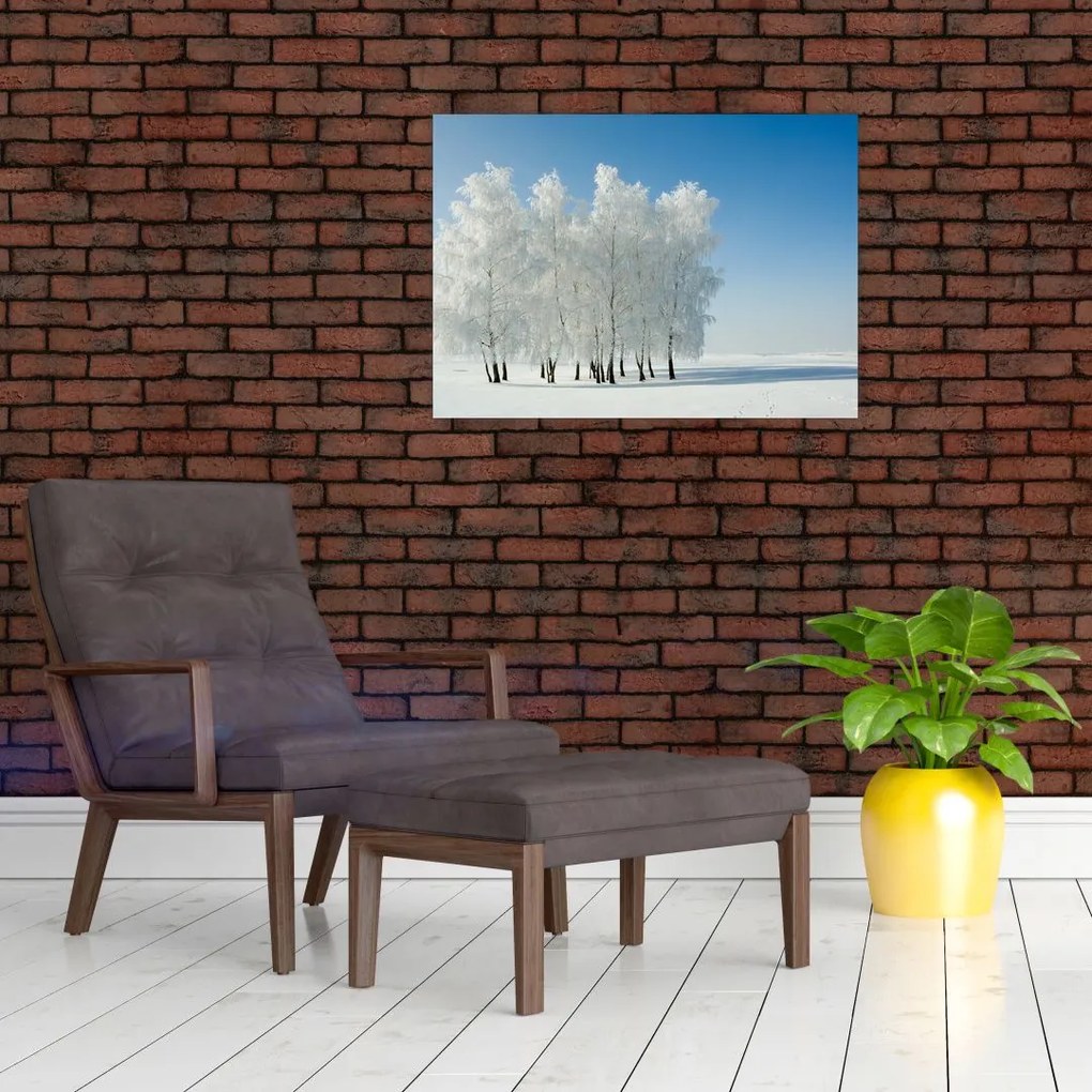 Obraz zaśnieżonego krajobrazu (70x50 cm)