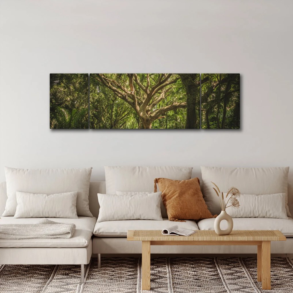 Obraz drzewa (170x50 cm)