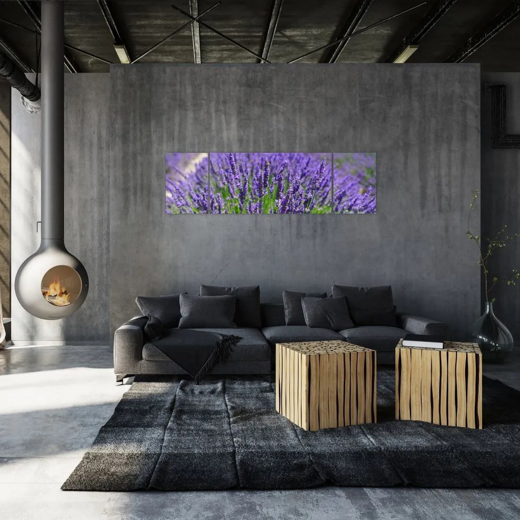 Obraz - lawenda (170x50 cm)